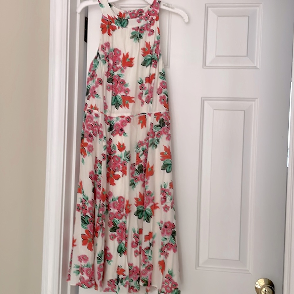 Ann Taylor 6P Cream, Coral, Green Floral Dress